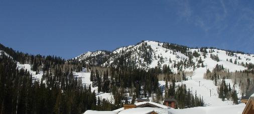 view from the condo